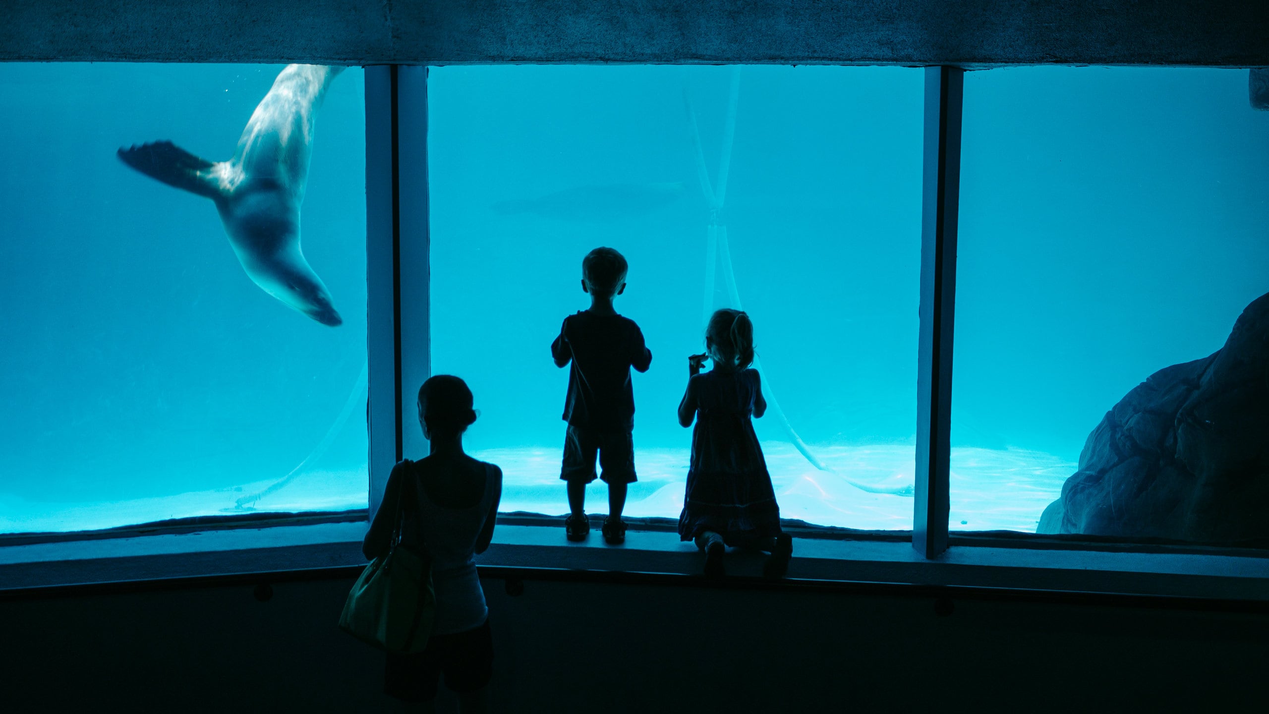 SEA LIFE Sunshine Coast