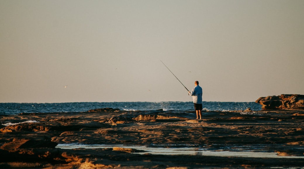 Shelly Beach