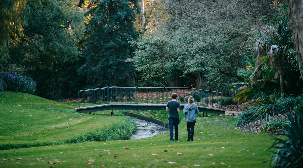 Adelaide Botanic Gardens