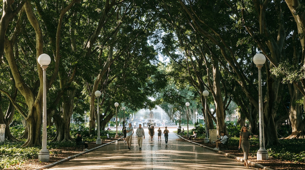 Hyde Park