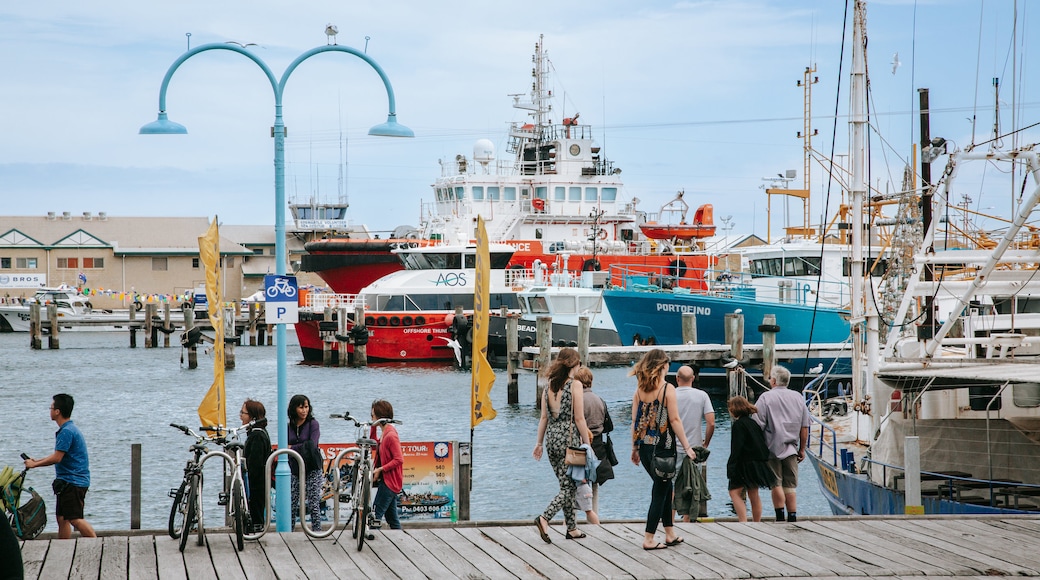 Fremantle