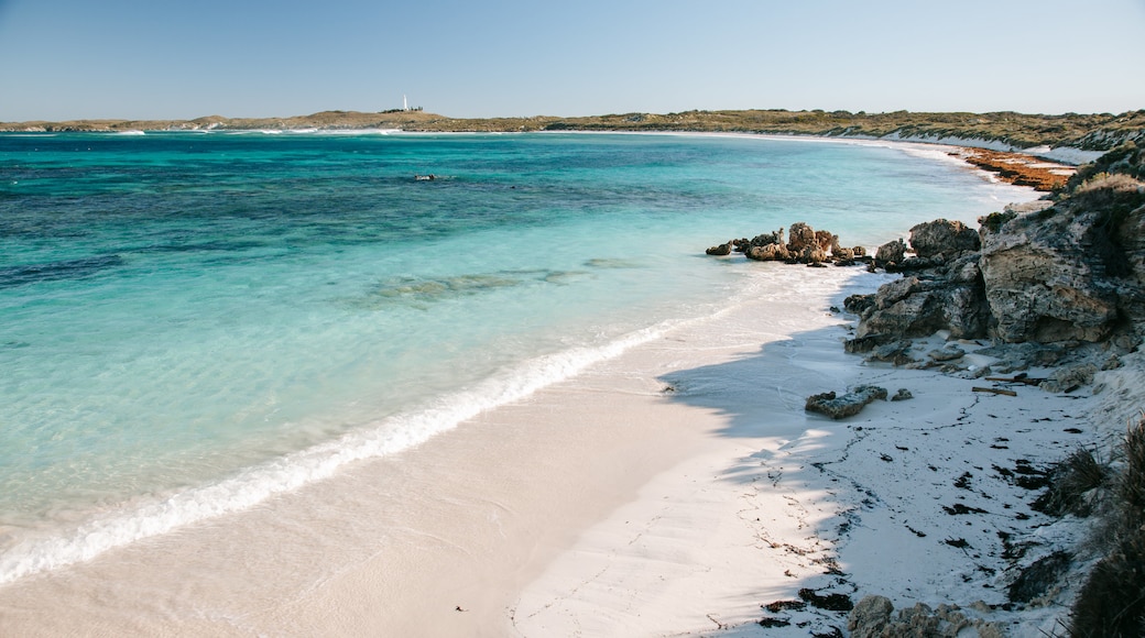 Rottnest Island