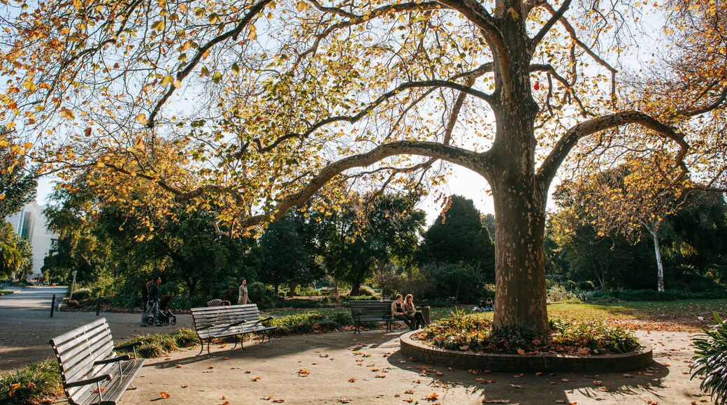 Adelaide Botanic Gardens
