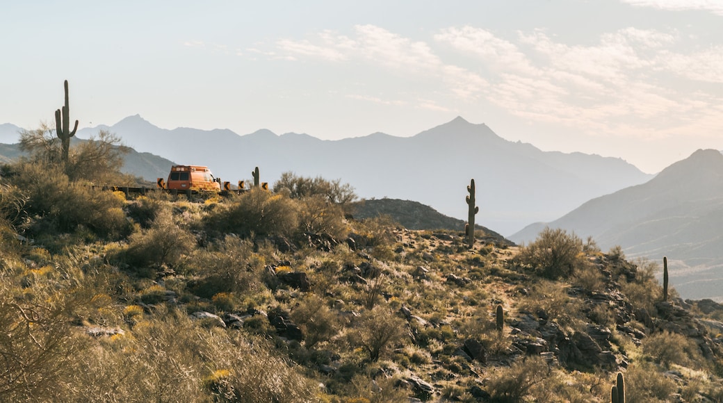 South Mountain Park which includes a sunset, desert views and landscape views