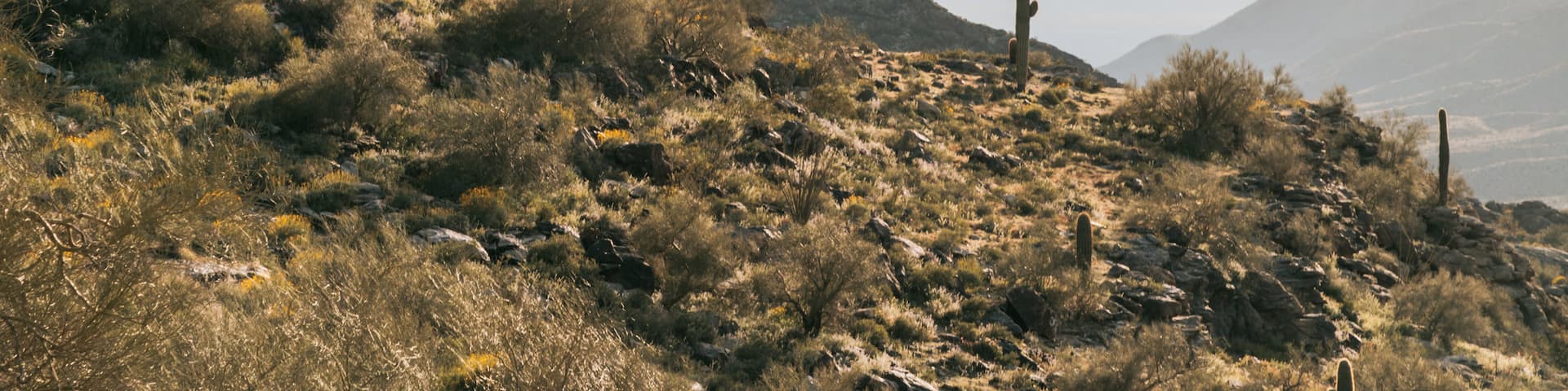 South Mountain Park which includes a sunset, desert views and landscape views