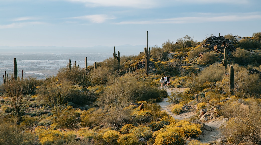 Arizona