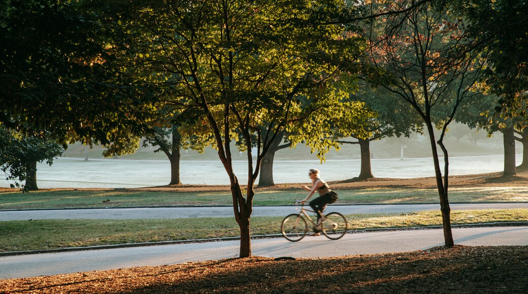 Piedmont Park