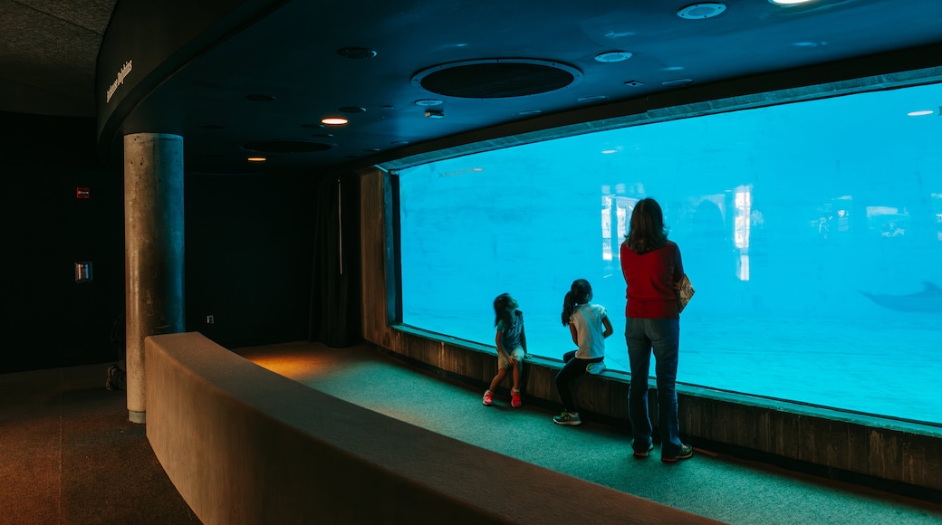 National Aquarium in Baltimore