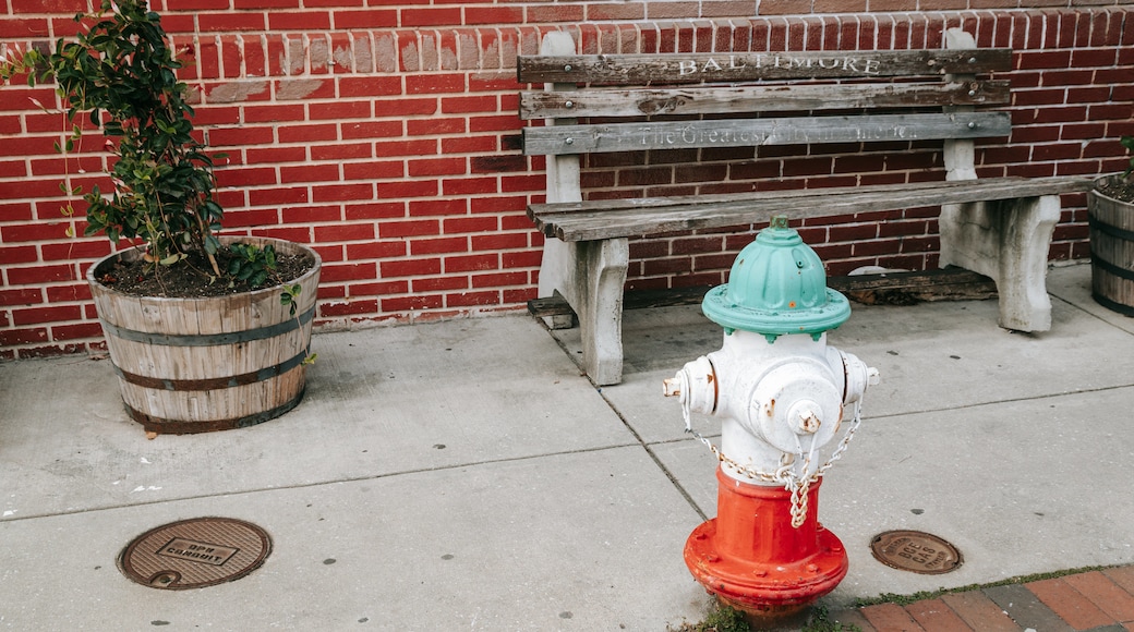 Little Italy