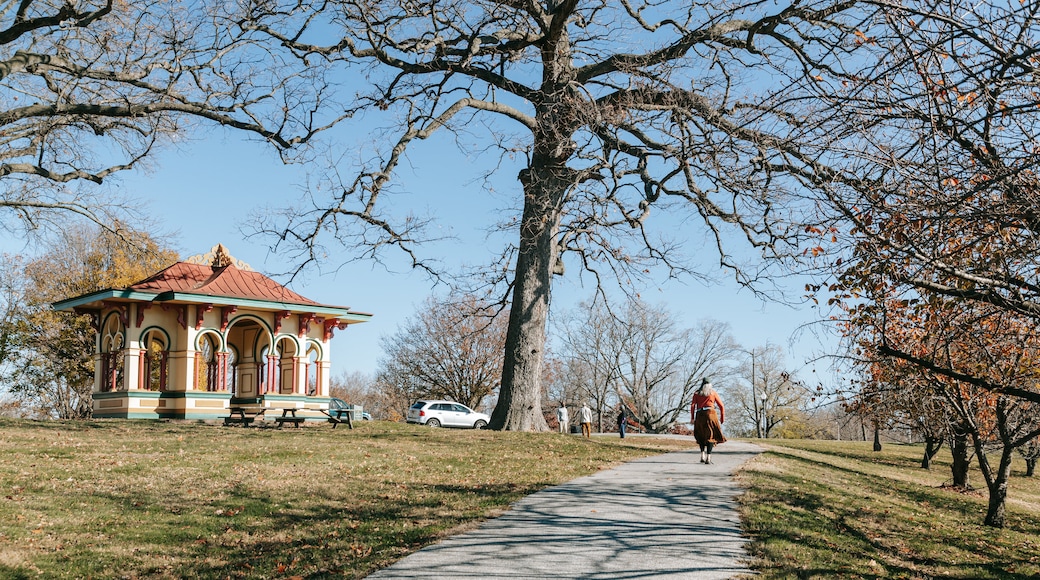 Druid Hill Park featuring a park as well as an individual femail