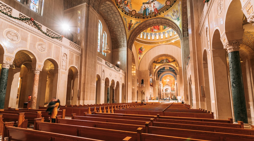 Basílica del Santuario Nacional de la Inmaculada Concepción