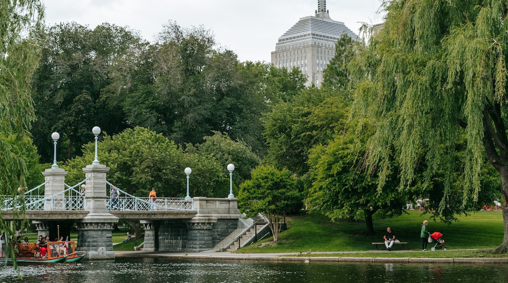 Boston Public Garden