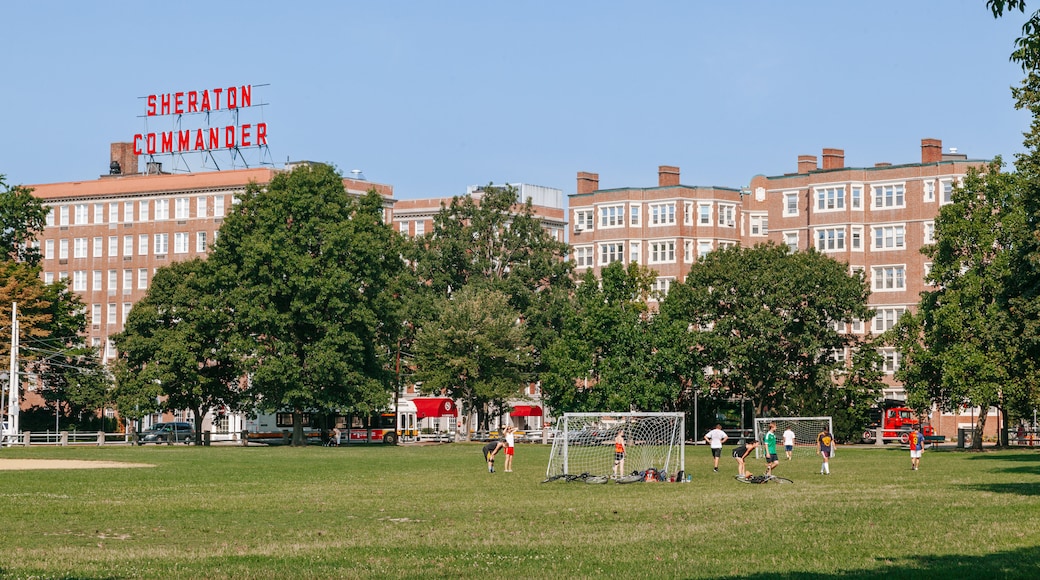 Harvard University