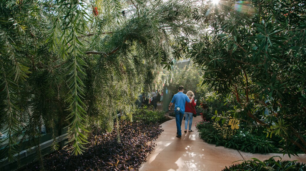 Butterfly Wonderland