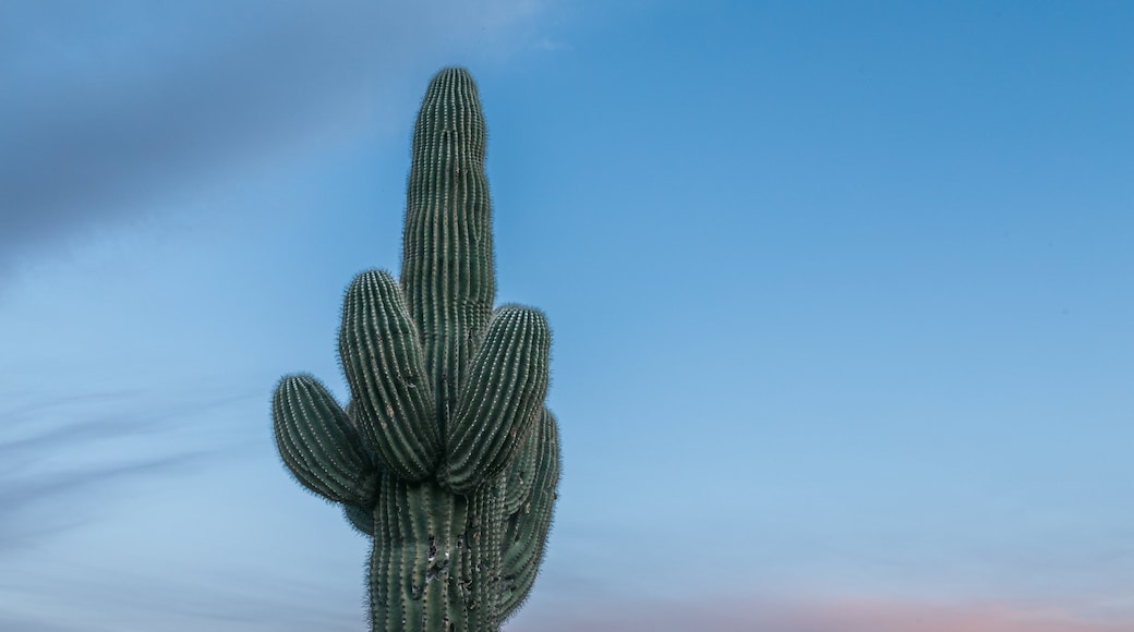 Camelback Mountain