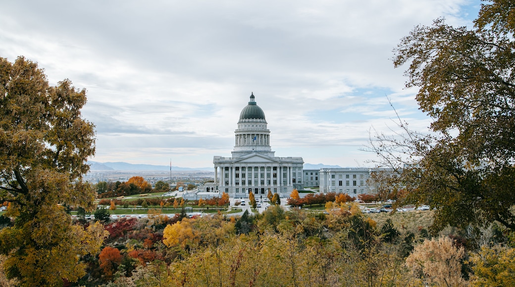 Capitol Hill