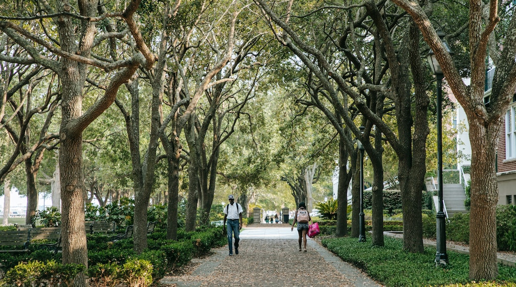 Charleston Waterfront Park