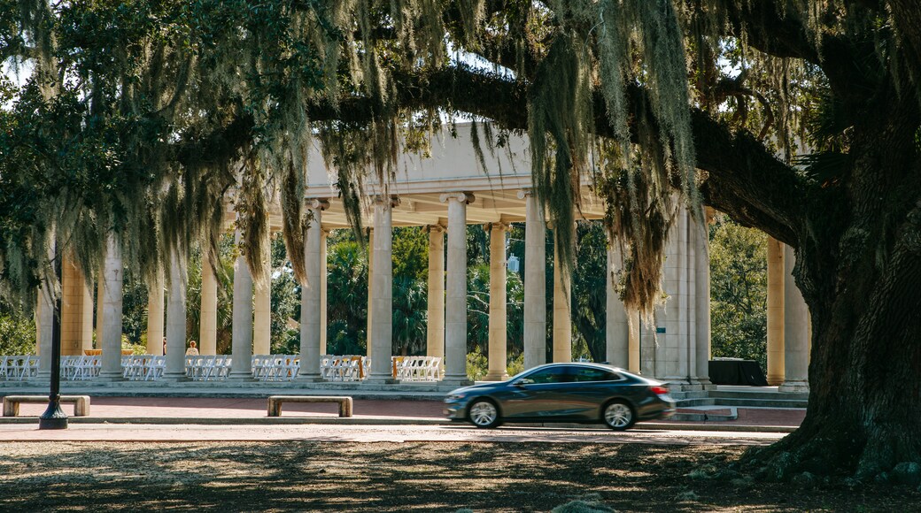 City Park