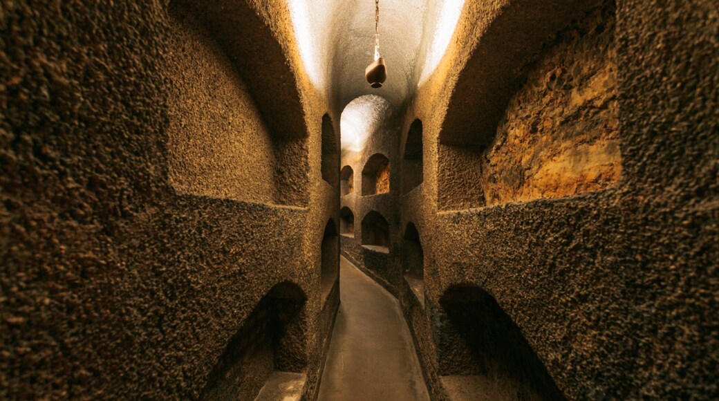 Biara Franciscan