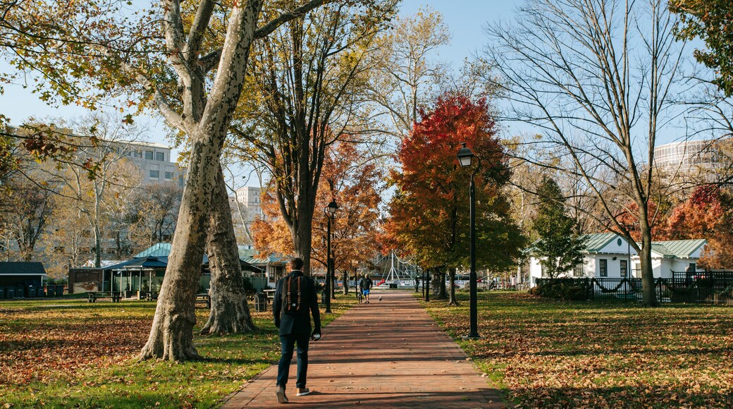 Franklin Square