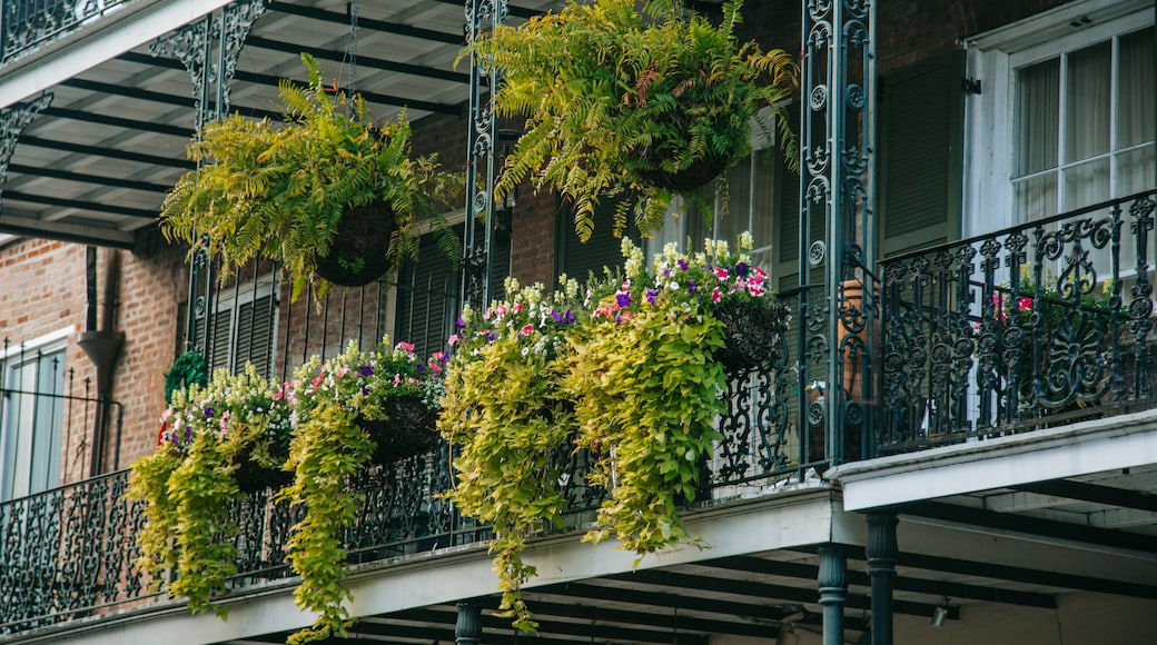 French Quarter which includes flowers and a house