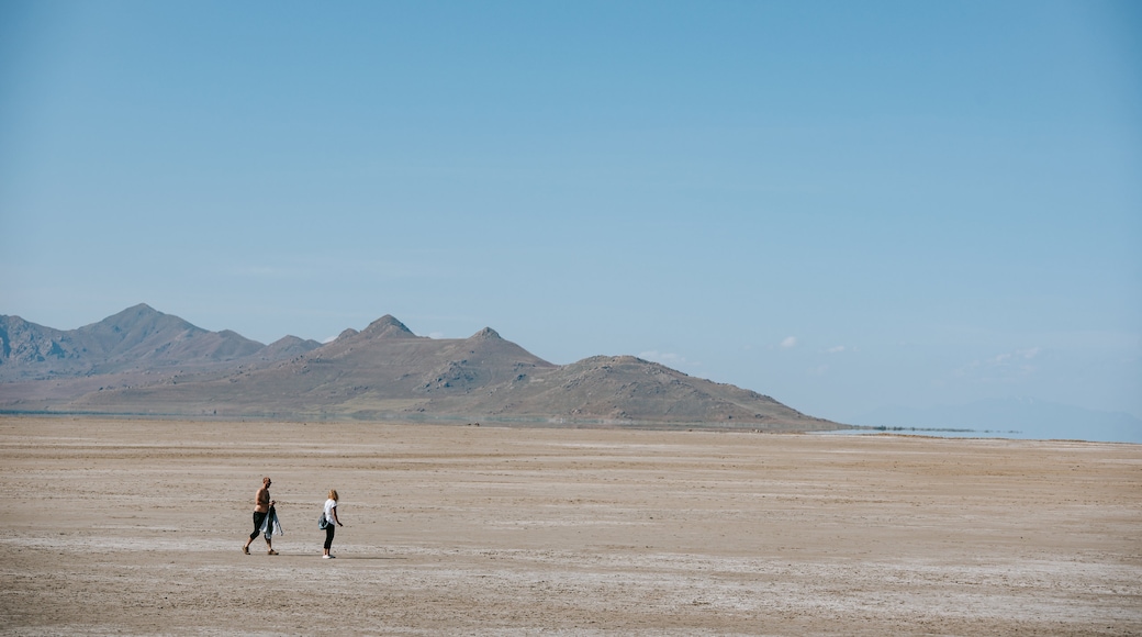 Công viên tiểu bang Great Salt Lake