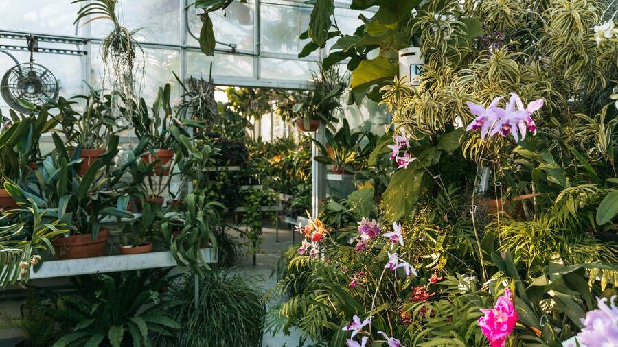 Musée d’arts décoratifs Hillwood Estate, Museum & Gardens