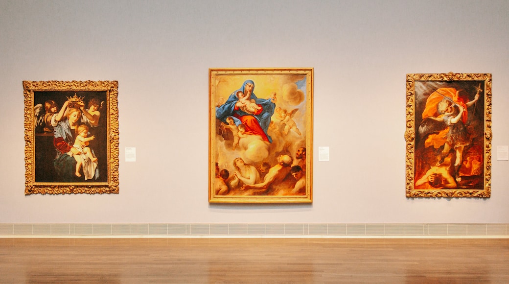 Houston Museum of Fine Arts which includes art, interior views and heritage elements
