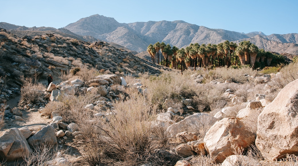 Indian Canyon