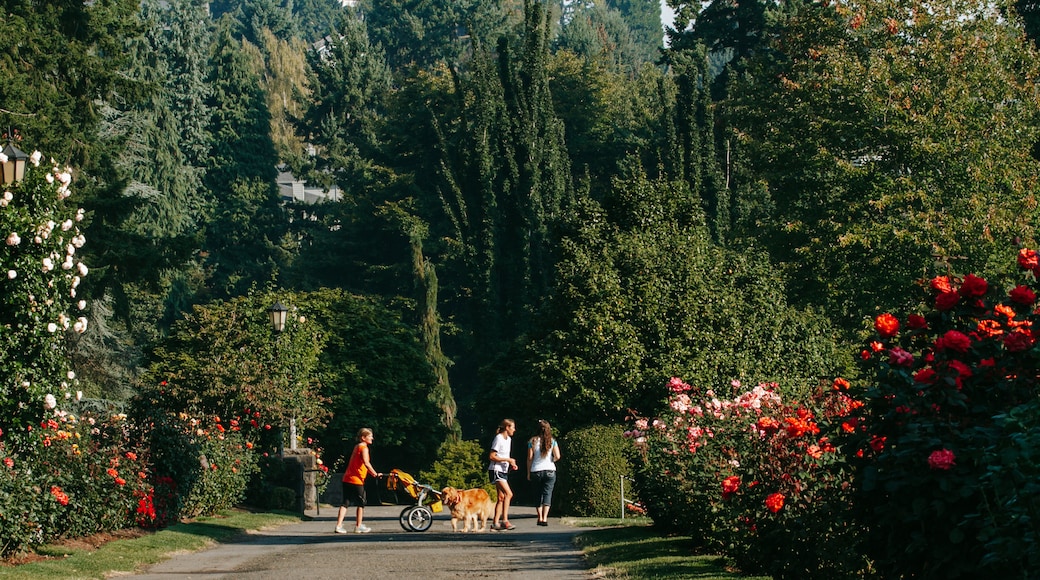International Rose Test Garden