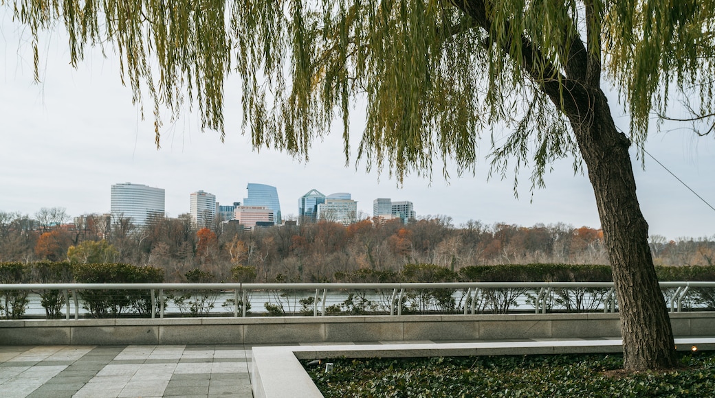 Kennedy Center