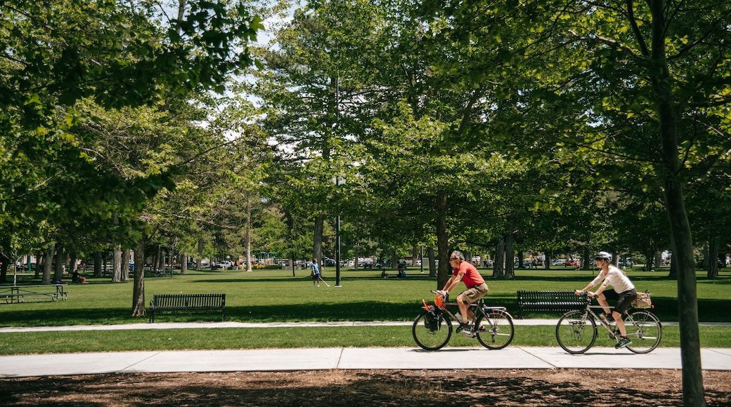 Liberty Park