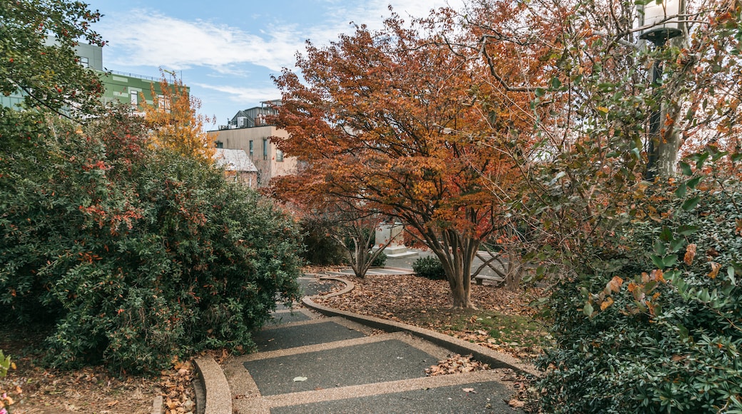 Meridian Hill Park