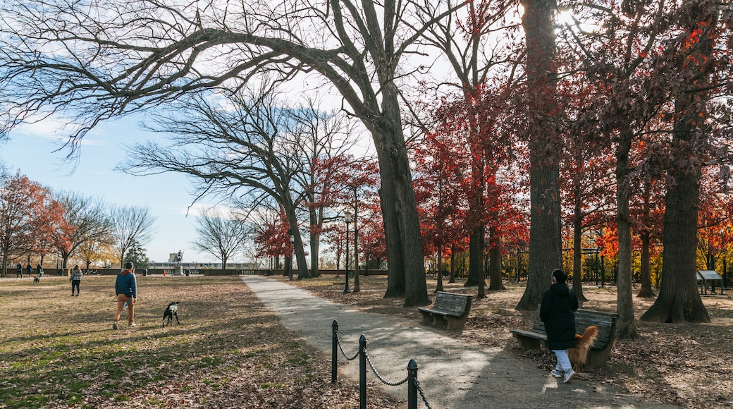 Meridian Hill Park