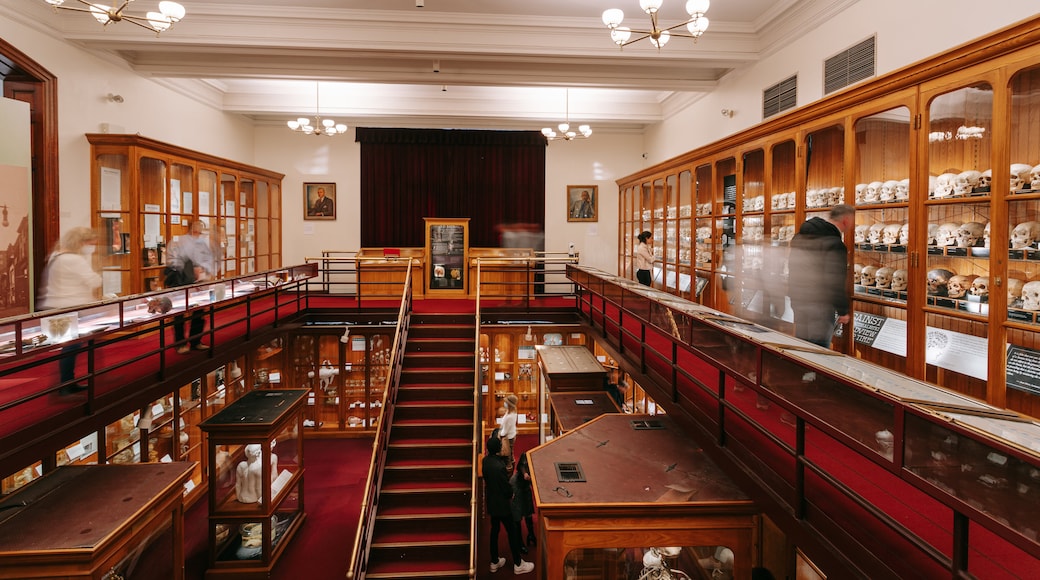 Muzium Mütter