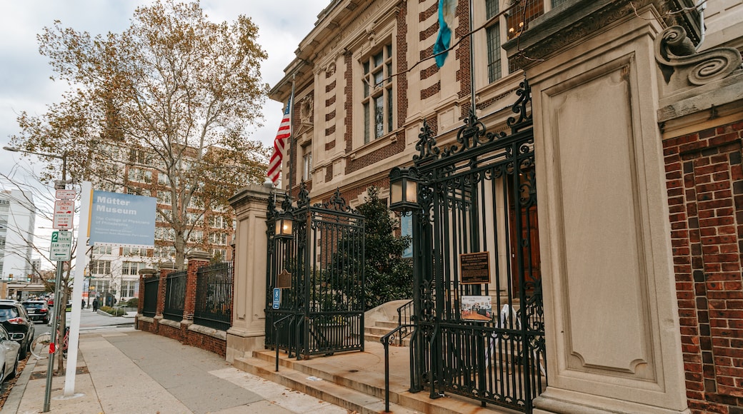 Muzium Mütter