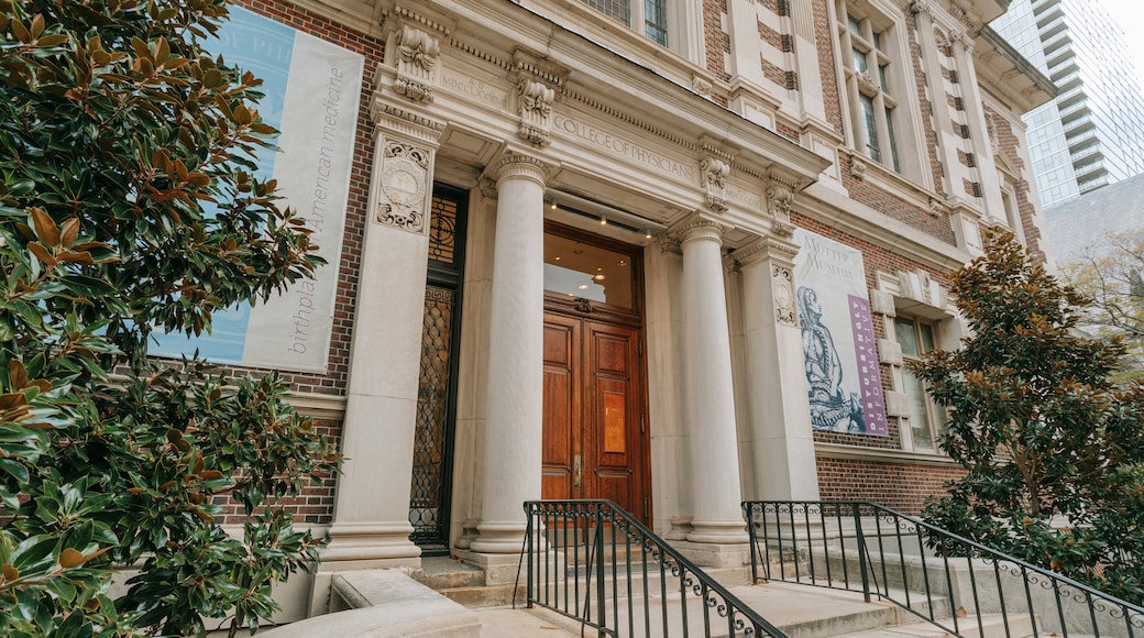 Muzium Mütter