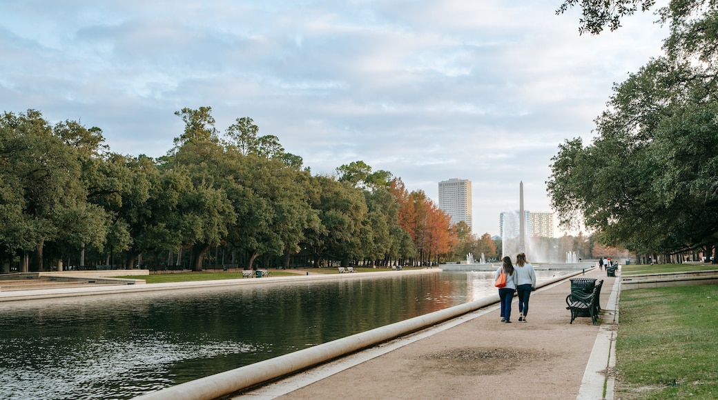 Parque Hermann