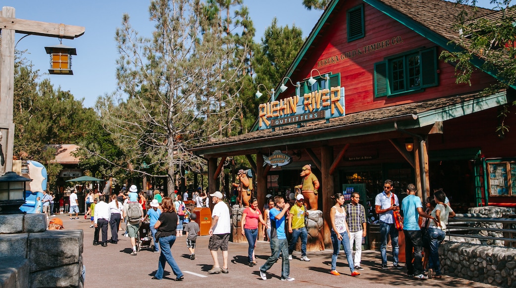 Disney California Adventure® Park