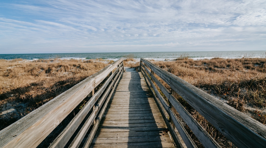 Huntington Beach State Park