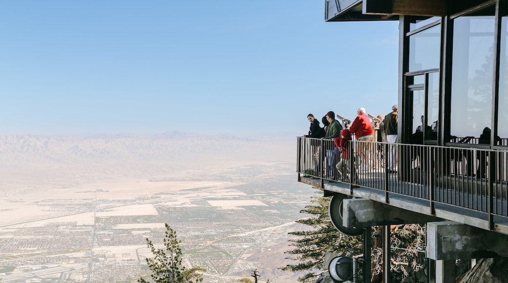 Jalur Menara Layang Palm Springs
