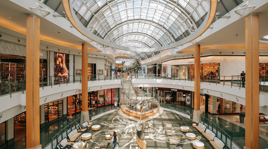 Mall at Millenia featuring shopping and interior views