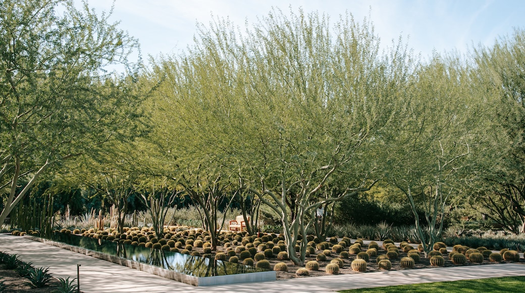 Centro Sunnylands y jardines