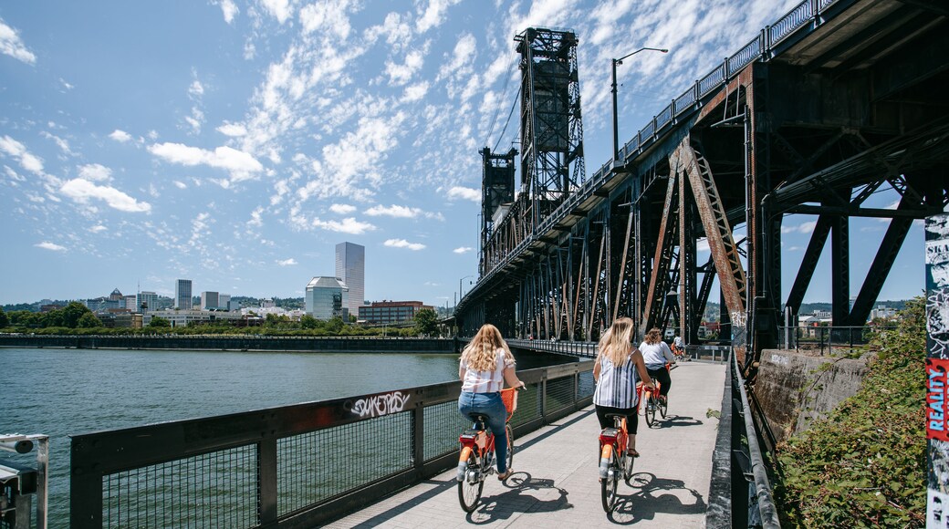 Steel Bridge