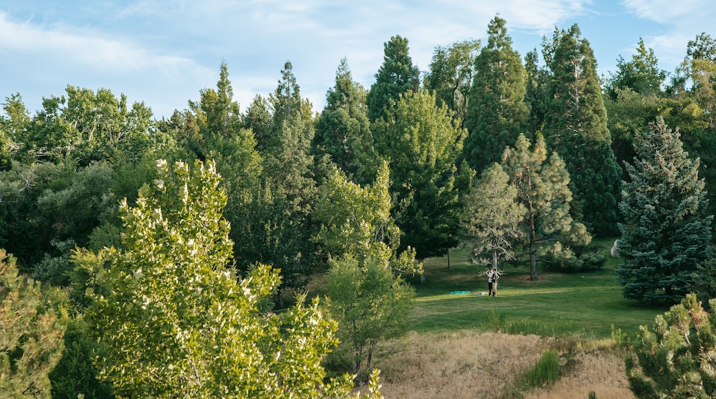 Rancho San Rafael Park