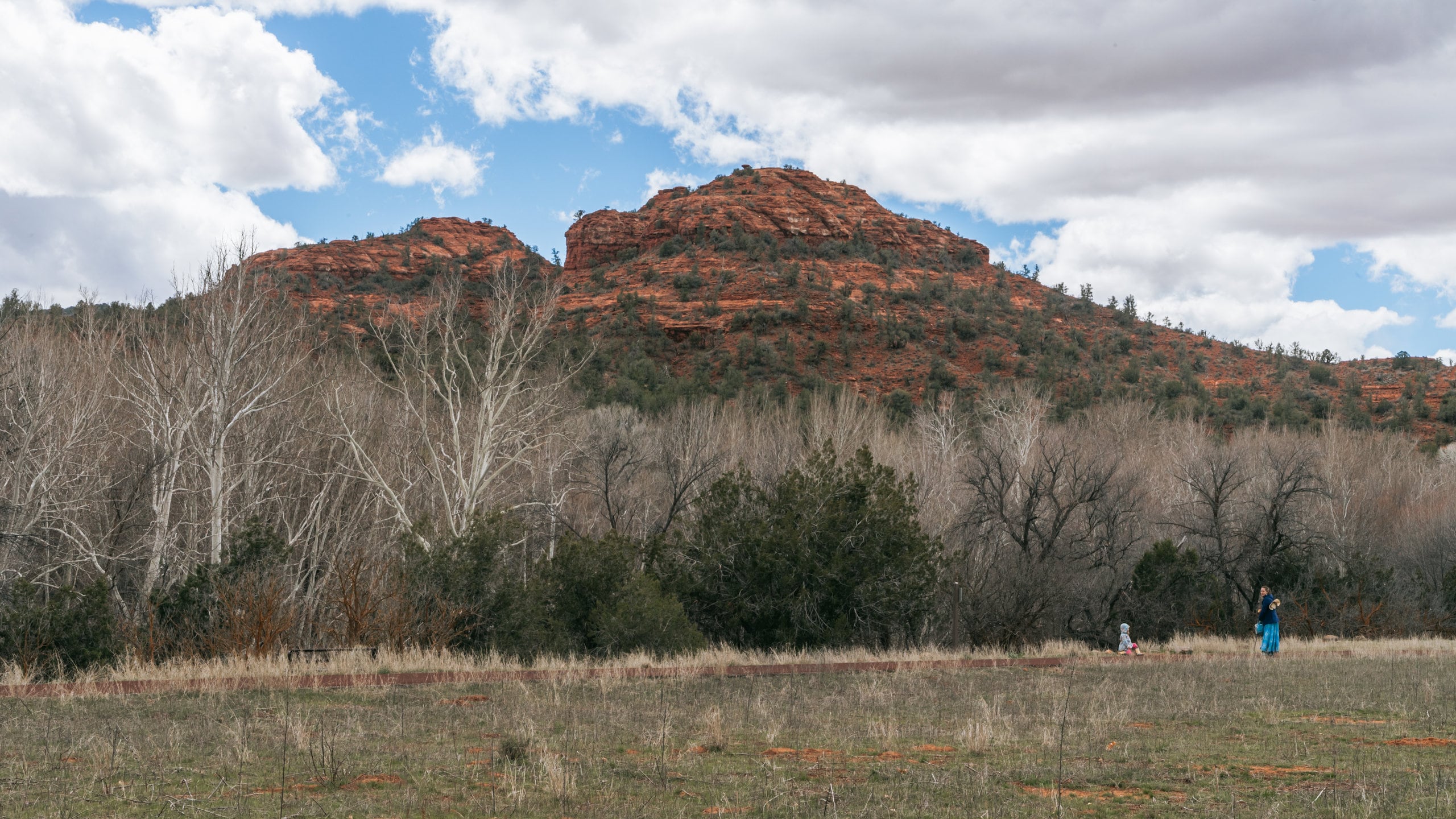 レッド・ロック州立公園 (セドナ) - ツアーとアクティビティ | エクス