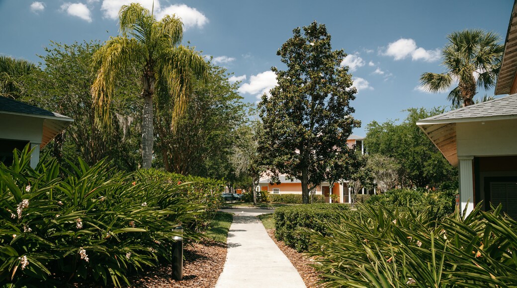Bahama Bay