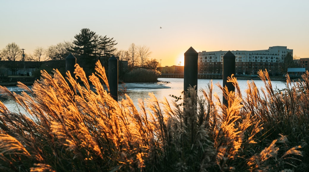 Wilmington Riverwalk