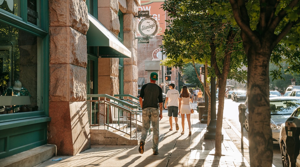 Distrito histórico de Washington Avenue