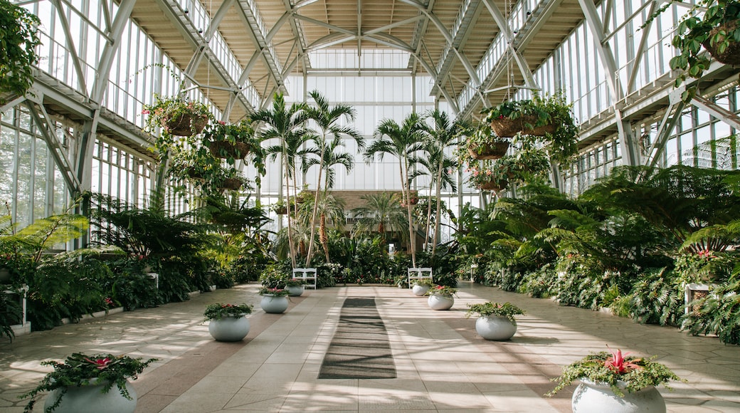 Forest Park